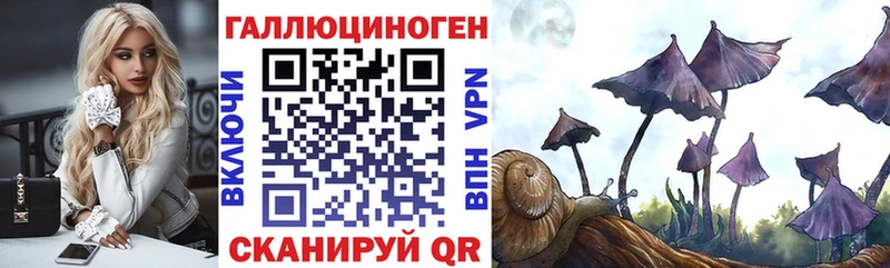 KRAKEN ссылки  Лагань  Псилоцибиновые грибы прущие грибы 